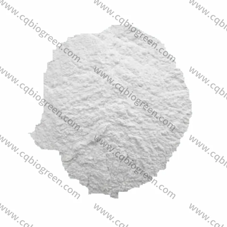 Dicalcium Phosphate Production Plant Design
